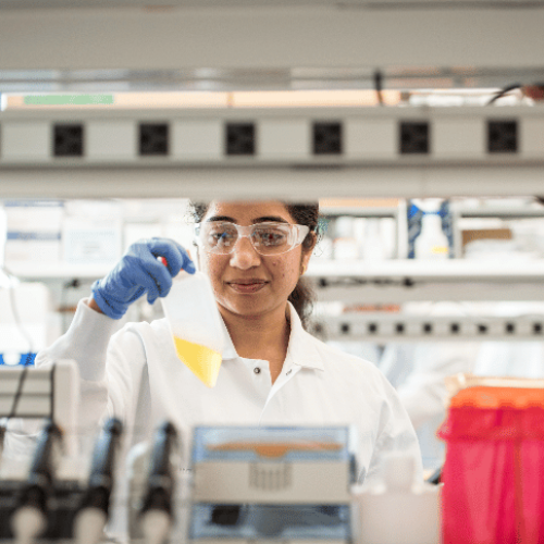 Arvinas scientific staff member conducting tests in lab