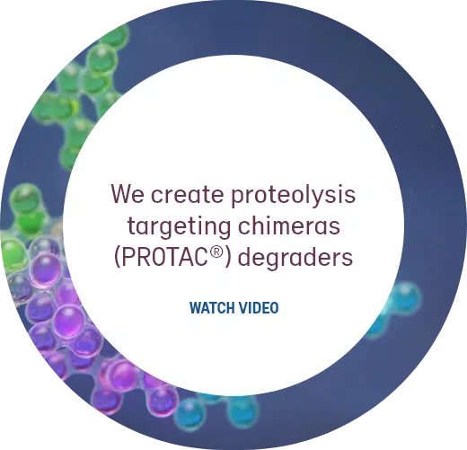 We create proteolysis targeting chimeras (PROTAC) degraders